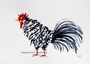Black & White Rooster