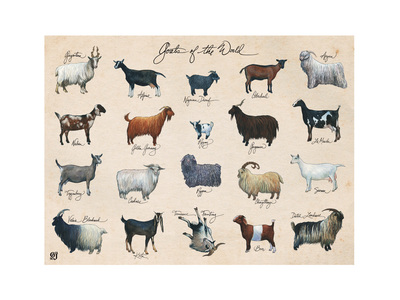 Ginny Joiner, Ginny Joyner Studio, Fine Art