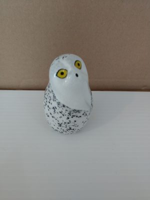 small snowy owl